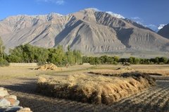 tadzjikistan5110