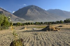 tadzjikistan5111