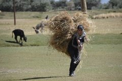 tadzjikistan5121