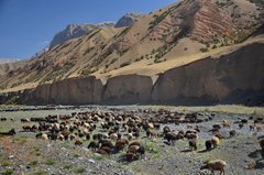 tadzjikistan7097