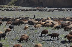 tadzjikistan7099