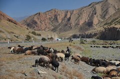 tadzjikistan7100