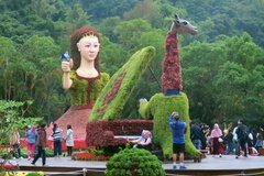 taiwan1131