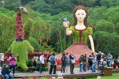 taiwan1134