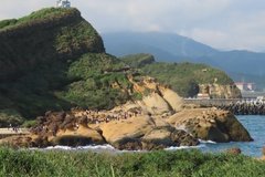 taiwan1506