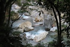 taiwan2052