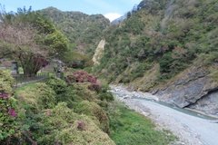 taiwan2109