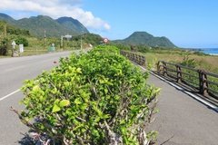 taiwan2509