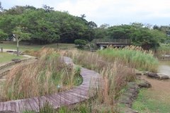 taiwan3516