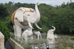 taiwan4043