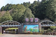 taiwan5537