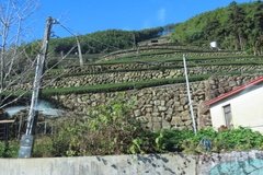 taiwan5539