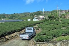 taiwan5540