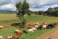tanzania1023