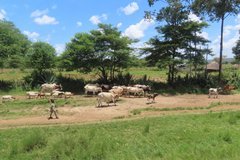 tanzania1024
