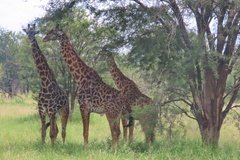 tanzania2009