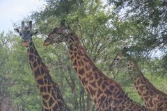 tanzania2010