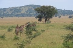 tanzania2014