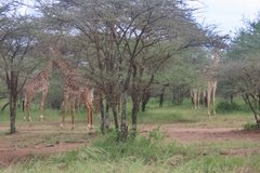 tanzania2017