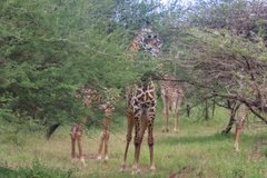 tanzania2019