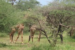 tanzania2022