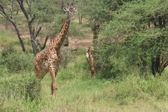 tanzania2023