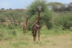 tanzania2030