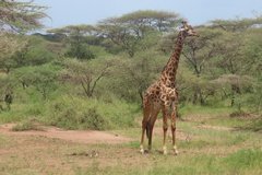 tanzania2037