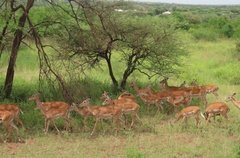 tanzania2053