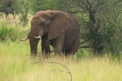 tanzania2056