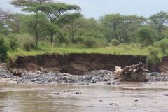 tanzania2070