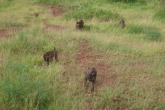 tanzania2102