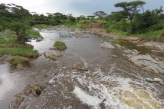 tanzania2108
