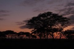 tanzania3001