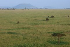 tanzania3024