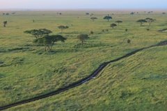 tanzania3028