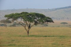 tanzania3047