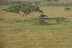 tanzania3048