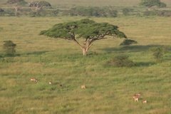 tanzania3049