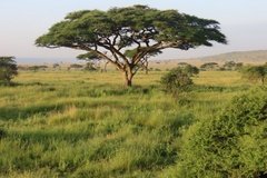 tanzania3052