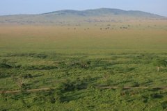 tanzania3055