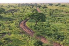 tanzania3075