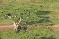 tanzania3076