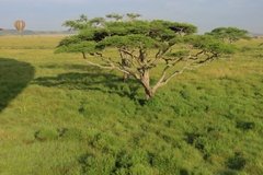 tanzania3094