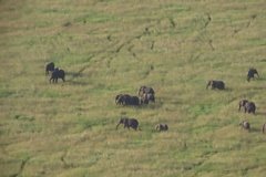 tanzania3111