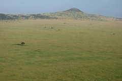 tanzania3112