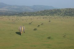 tanzania3113