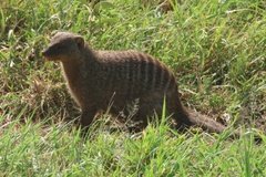 tanzania4004