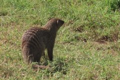 tanzania4005