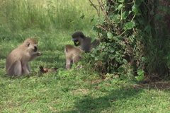 tanzania4020